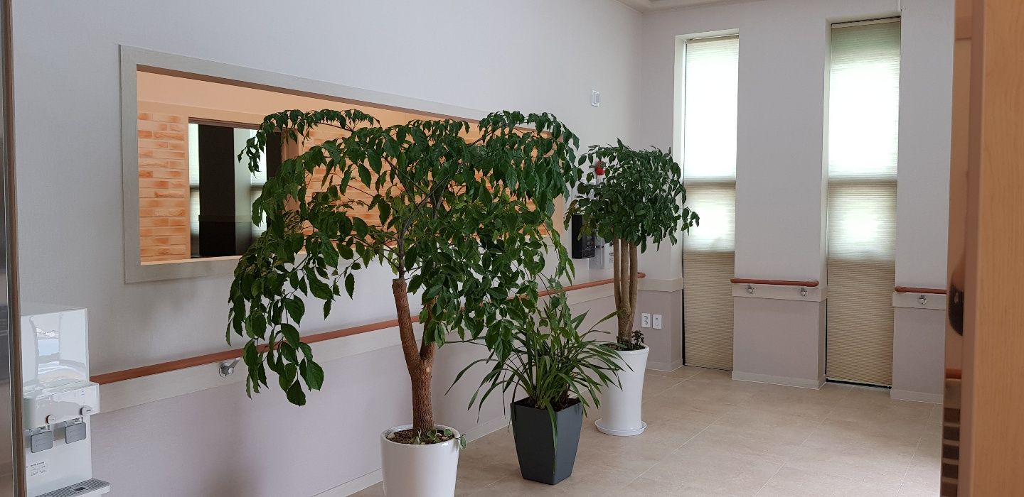 플래티늄 천안동남점 둘러보기